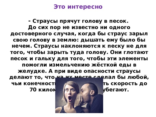 Это интересно  - Страусы прячут голову в песок. До сих пор не известно ни одного достоверного случая, когда бы страус зарыл свою голову в землю: дышать ему было бы нечем. Страусы наклоняются к песку не для того, чтобы зарыть туда голову. Они глотают песок и гальку для того, чтобы эти элементы помогли измельчению жёсткой еды в желудке. А при виде опасности страусы делают то, что на их месте сделал бы любой, чьи конечности могут развивать скорость до 70 километров в час, — убегают.   
