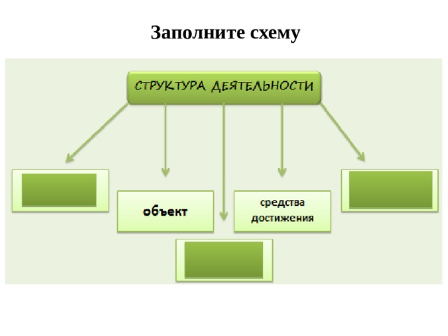 Заполните схему 