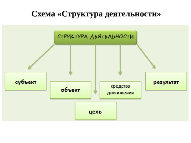 Схема «Структура деятельности» 