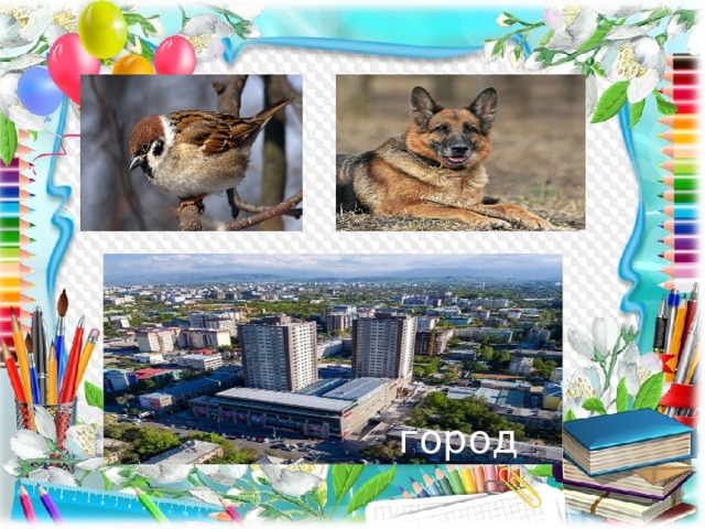 город 