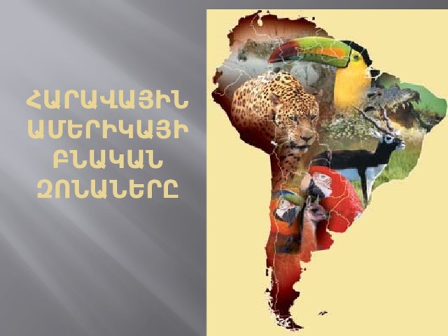 ՀԱՐԱՎԱՅԻՆ ԱՄԵՐԻԿԱՅԻ ԲՆԱԿԱՆ ԶՈՆԱՆԵՐԸ 