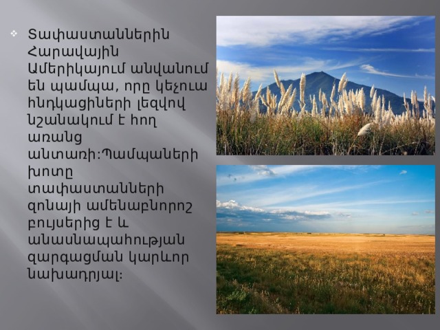 Տափաստաններին Հարավային Ամերիկայում անվանում են պամպա, որը կեչուա հնդկացիների լեզվով նշանակում է հող առանց անտառի:Պամպաների խոտը տափաստանների զոնայի ամենաբնորոշ բույսերից է և անասնապահության զարգացման կարևոր նախադրյալ։ 