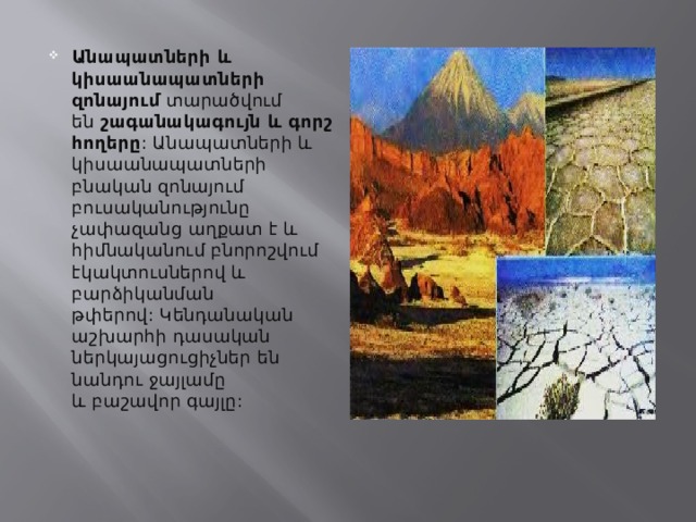 Անապատների և կիսաանապատների զոնայում  տարածվում են  շագանակագույն և գորշ հողերը : Անապատների և կիսաանապատների բնական զոնայում բուսականությունը չափազանց աղքատ է և հիմնականում բնորոշվում էկակտուսներով և բարձիկանման թփերով: Կենդանական աշխարհի դասական ներկայացուցիչներ են նանդու ջայլամը և բաշավոր գայլը:  