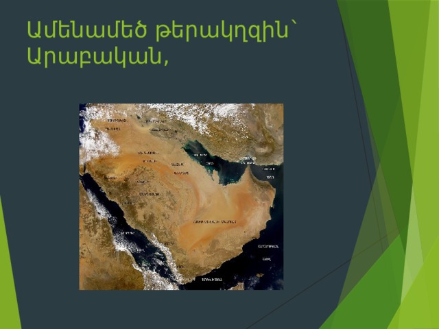 Ամենամեծ թերակղզին`   Արաբական,      