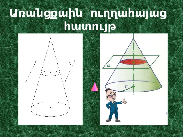 Առանցքաին ուղղահայաց հատույթ 