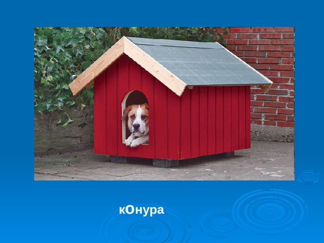 к о нура 