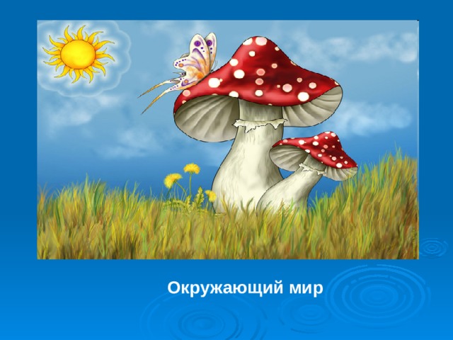 Окружающий мир 