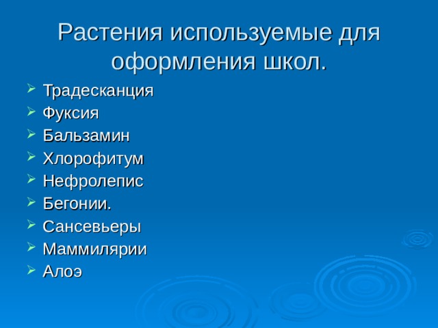 Растения используемые для оформления школ. Традесканция Фуксия Бальзамин Хлорофитум Нефролепис Бегонии. Сансевьеры Маммилярии Алоэ 