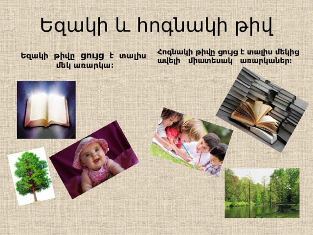 Եզակի և հոգնակի թիվ Եզակի թիվը ցույց է տալիս մեկ առարկա։ Հոգնակի թիվը ցույց է տալիս մեկից ավելի միատեսակ առարկաներ։ 