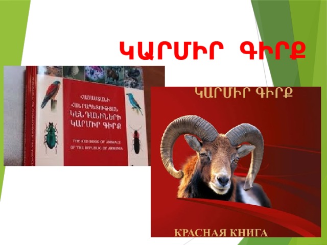 ԿԱՐՄԻՐ   ԳԻՐՔ 