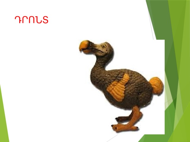 ԴՐՈՆՏ 