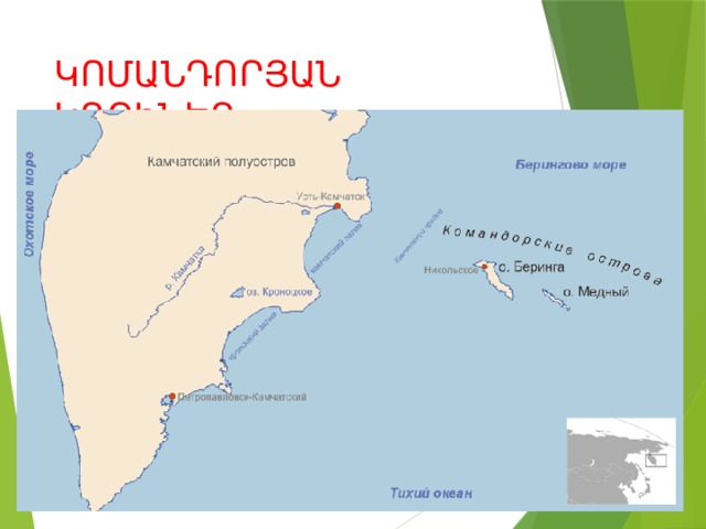 ԿՈՄԱՆԴՈՐՅԱՆ ԿՂԶԻՆԵՐ 