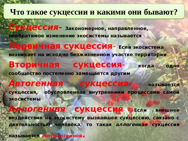 Что такое сукцессии и какими они бывают? Сукцессия-  Закономерное, направленное, необратимое изменение экосистемы называется Первичная сукцессия - Если экосистема возникает на исходно безжизненном участке территории Вторичная сукцессия - когда одно сообщество постепенно замещается другим Автогенная сукцессия-  называется сукцессия, обусловленная внутренними процессами самой экосистемы Аллогенная  сукцессия - Если внешнее воздействие на экосистему вызвавшее сукцессию, связано с деятельностью человека, то такая аллогенная сукцессия называется антропогенной . 