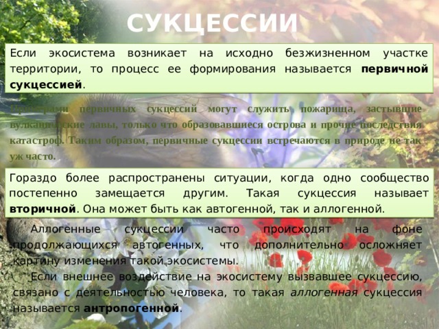 СУКЦЕССИИ Если экосистема возникает на исходно безжизненном участке территории, то процесс ее формирования называется первичной сукцессией . Примерами первичных сукцессий могут служить пожарища, застывшие вулканические лавы, только что образовавшиеся острова и прочие последствия катастроф. Таким образом, первичные сукцессии встречаются в природе не так уж часто.  Гораздо более распространены ситуации, когда одно сообщество постепенно замещается другим. Такая сукцессия называет вторичной . Она может быть как автогенной, так и аллогенной. Аллогенные сукцессии часто происходят на фоне продолжающихся автогенных, что дополнительно осложняет картину изменения такой экосистемы. Если внешнее воздействие на экосистему вызвавшее сукцессию, связано с деятельностью человека, то такая аллогенная сукцессия называется антропогенной . 