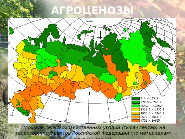 АГРОЦЕНОЗЫ        Площади сельскохозяйственных угодий (тысяч гектар)  на территории субъектов Российской Федерации (по материалам: www.sci.aha.ru ). 