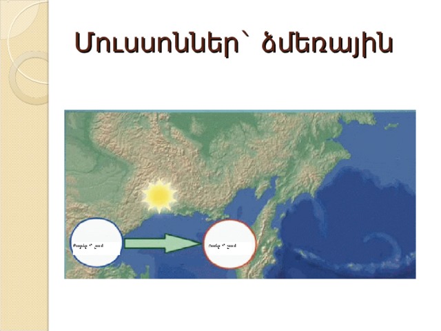 Մուսսոններ` ձմեռային 