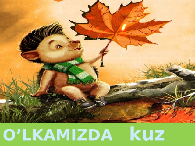 O’LKAMIZDA kuz  