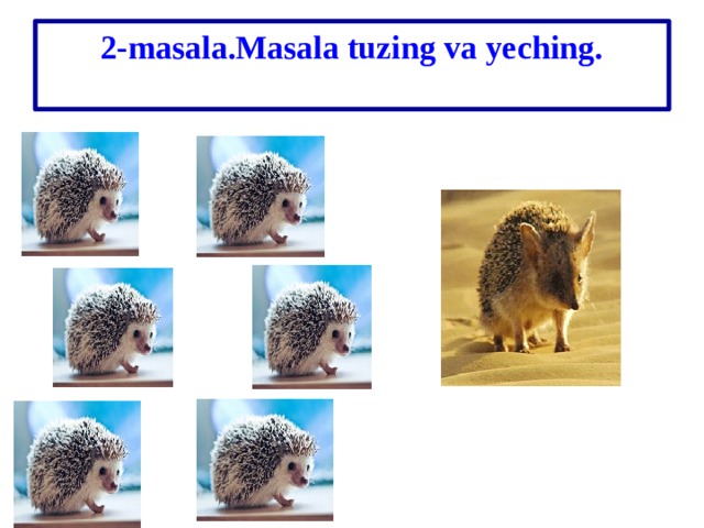 2-masala.Masala tuzing va yeching.   