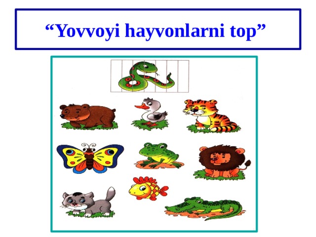 “ Yovvoyi hayvonlarni top”  