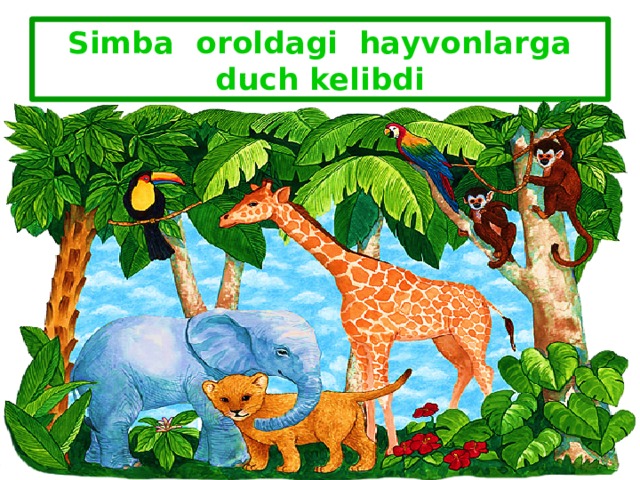 Simba oroldagi hayvonlarga duch kelibdi 