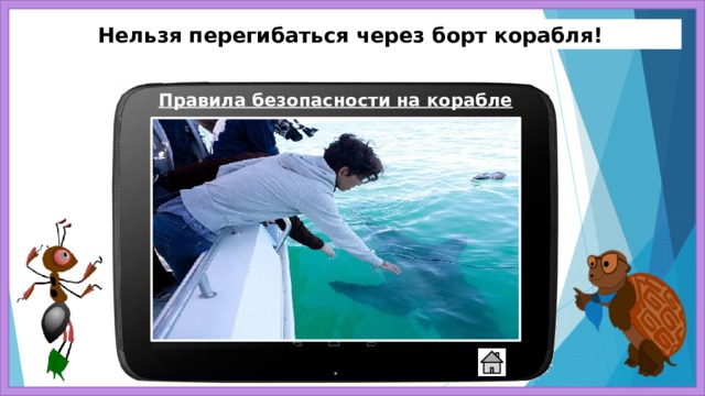 Нельзя перегибаться через борт корабля! Правила безопасности на корабле 