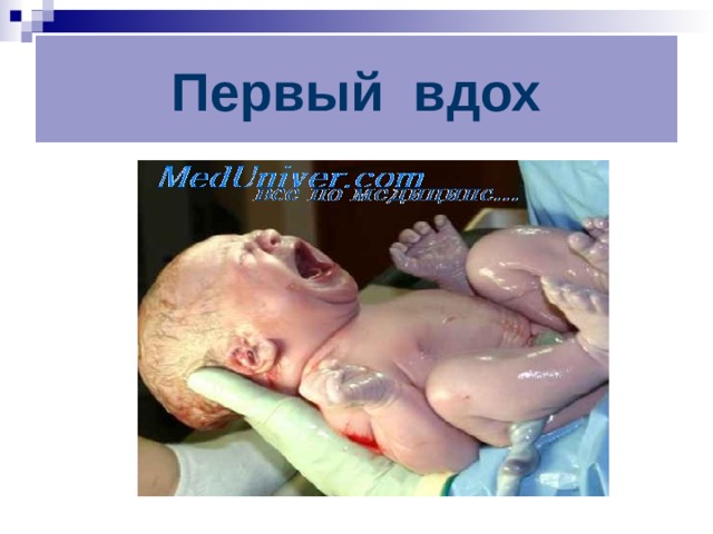 Первый вдох 