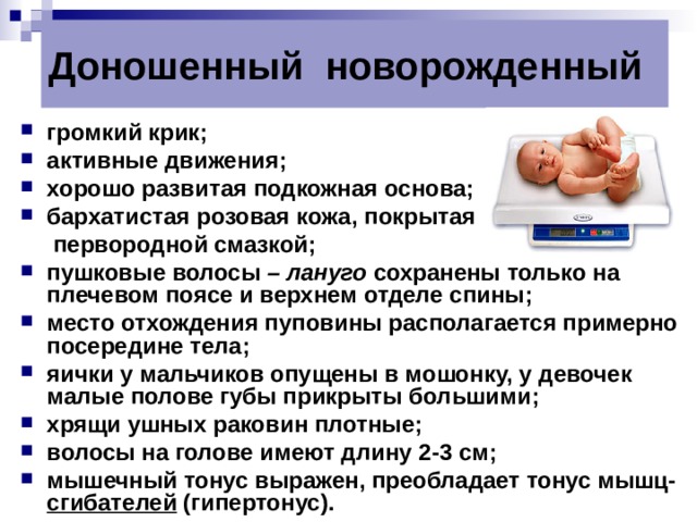 Доношенный новорожденный громкий крик; активные движения; хорошо развитая подкожная основа; бархатистая розовая кожа, покрытая  первородной смазкой; пушковые волосы – лануго сохранены только на плечевом поясе и верхнем отделе спины; место отхождения пуповины располагается примерно посередине тела;  яички у мальчиков опущены в мошонку, у девочек малые полове губы прикрыты большими; хрящи ушных раковин плотные; волосы на голове имеют длину 2-3 см;  мышечный тонус выражен, преобладает тонус мышц- сгибателей (гипертонус). 