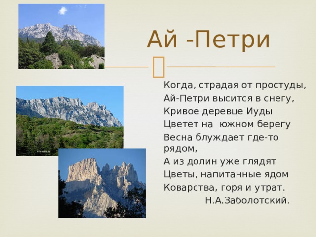 Ай -Петри Когда, страдая от простуды, Ай-Петри высится в снегу, Кривое деревце Иуды Цветет на южном берегу Весна блуждает где-то рядом, А из долин уже глядят Цветы, напитанные ядом Коварства, горя и утрат.  Н.А.Заболотский. 