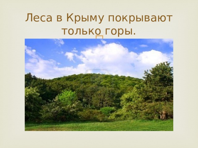 Леса в Крыму покрывают только горы. 