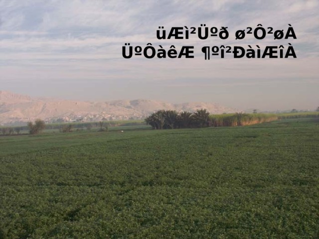 üÆì²Üºð ø²Ô²øÀ ÜºÔàêÆ ¶ºî²ÐàìÆîÀ 