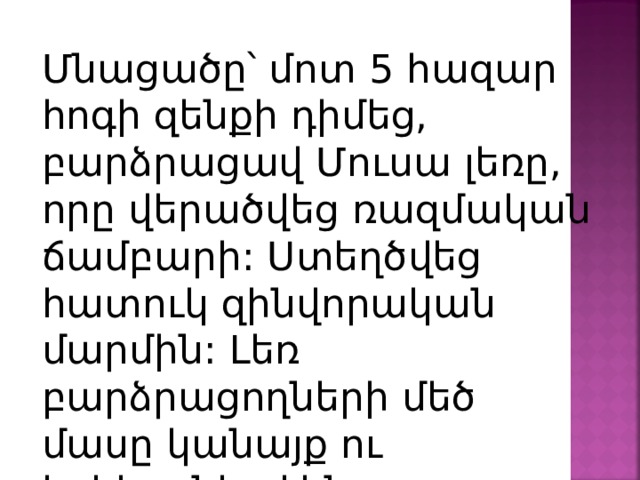 Մնացածը՝ մոտ 5 հազար հոգի զենքի դիմեց, բարձրացավ Մուսա լեռը, որը վերածվեց ռազմական ճամբարի: Ստեղծվեց հատուկ զինվորական մարմին: Լեռ բարձրացողների մեծ մասը կանայք ու երեխաներ էին: 