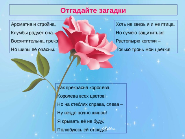 Отгадайте загадки 
