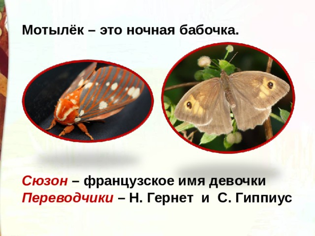 Мотылёк – это ночная бабочка.         Сюзон – французское имя девочки Переводчики – Н. Гернет и С. Гиппиус 
