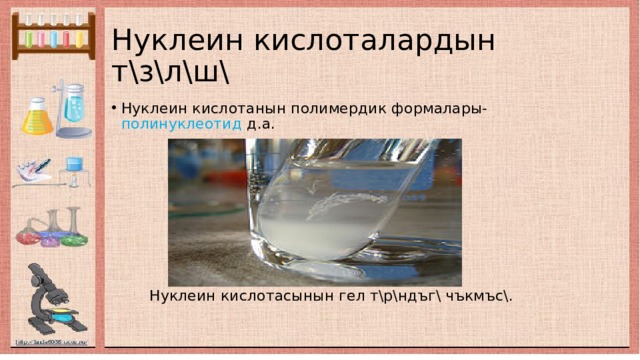 Нуклеин кислоталардын т\з\л\ш\ Нуклеин кислотанын полимердик формалары- полинуклеотид д.а.  Нуклеин кислотасынын гел т\р\ндъг\ чъкмъс\. 