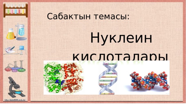  Сабактын темасы:  Нуклеин  кислоталары 