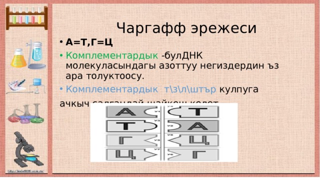  Чаргафф эрежеси А=Т,Г=Ц Комплементардык -булДНК молекуласындагы азоттуу негиздердин ъз ара толуктоосу. Комплементардык т\з\л\штър кулпуга ачкыч салгандай шайкеш келет.. 
