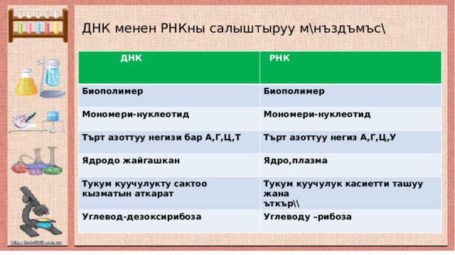 ДНК менен РНКны салыштыруу м\нъздъмъс\  ДНК  РНК Биополимер Мономери-нуклеотид  Биополимер Мономери-нуклеотид Търт азоттуу негизи бар А,Г,Ц,Т    Търт азоттуу негиз А,Г,Ц,У Ядродо жайгашкан  Ядро,плазма Тукум куучулукту сактоо кызматын аткарат  Тукум куучулук касиетти ташуу жана Углевод-дезоксирибоза ъткър\\ Углеводу –рибоза  