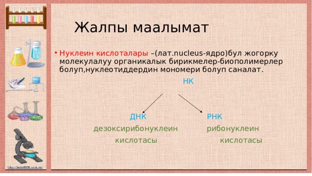  Жалпы маалымат Нуклеин кислоталары –(лат.nucleus-ядро)бул жогорку молекулалуу органикалык бирикмелер-биополимерлер болуп,нуклеотиддердин мономери болуп саналат .  НК  ДНК РНК  дезоксирибонуклеин рибонуклеин  кислотасы кислотасы  