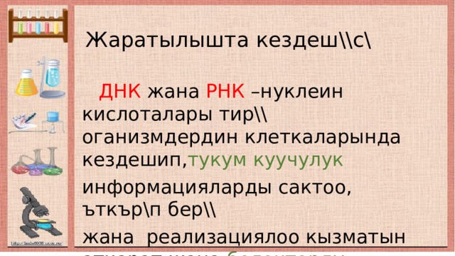 Жаратылышта кездеш\\с\  ДНК жана РНК –нуклеин кислоталары тир\\ оганизмдердин клеткаларында кездешип, тукум куучулук информацияларды сактоо, ъткър\п бер\\ жана реализациялоо кызматын аткарат жана белокторду синтездъъгъ катышат. 