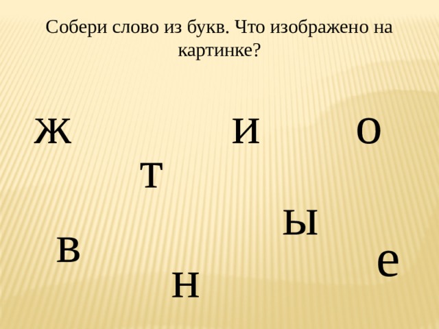 Собери слово из букв. Что изображено на картинке? и ж о т ы в е н 