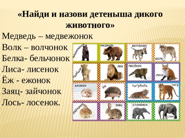 «Найди и назови детеныша дикого животного» Медведь – медвежонок Волк – волчонок Белка- бельчонок Лиса- лисенок Ёж - ежонок Заяц- зайчонок Лось- лосенок. 
