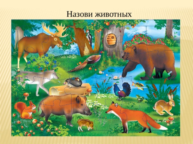 Назови животных 