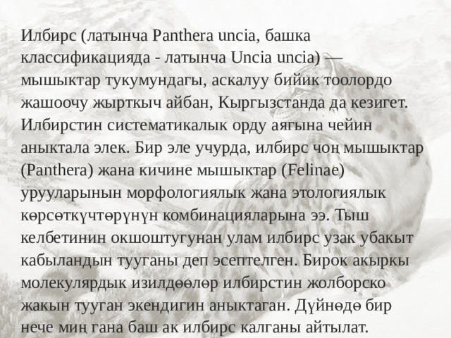 Илбирс (латынча Panthera uncia, башка классификацияда - латынча Uncia uncia) — мышыктар тукумундагы, аскалуу бийик тоолордо жашоочу жырткыч айбан, Кыргызстанда да кезигет. Илбирстин систематикалык орду аягына чейин аныктала элек. Бир эле учурда, илбирс чоң мышыктар (Panthera) жана кичине мышыктар (Felinae) урууларынын морфологиялык жана этологиялык көрсөткүчтөрүнүн комбинацияларына ээ. Тыш келбетинин окшоштугунан улам илбирс узак убакыт кабыландын тууганы деп эсептелген. Бирок акыркы молекулярдык изилдөөлөр илбирстин жолборско жакын тууган экендигин аныктаган. Дүйнөдө бир нече миң гана баш ак илбирс калганы айтылат. 