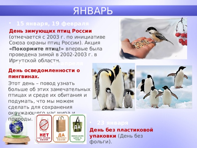 ЯНВАРЬ 15 января, 19 февраля День зимующих птиц России (отмечается с 2003 г. по инициативе Союза охраны птиц России). Акция «Покормите птиц!» впервые была проведена зимой в 2002-2003 г. в Иркутской области. 20 января, 25 апреля День осведомленности о пингвинах. Этот день – повод узнать больше об этих замечательных птицах и среде их обитания и подумать, что мы можем сделать для сохранения окружающего нас мира и природы. 23 января День без пластиковой упаковки (День без фольги). 