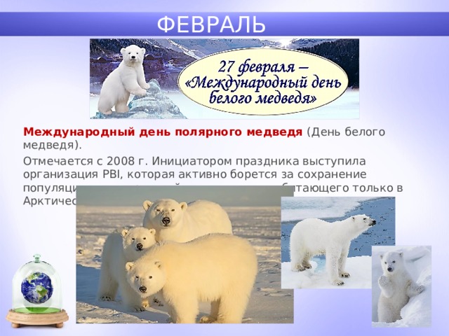 ФЕВРАЛЬ Международный день полярного медведя (День белого медведя). Отмечается с 2008 г. Инициатором праздника выступила организация PBI, которая активно борется за сохранение популяции этого красивейшего хищника, обитающего только в Арктических широтах, вблизи Северного полюса.  