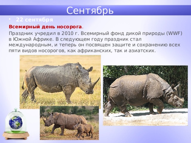 Сентябрь 22 сентября Всемирный день носорога . Праздник учредил в 2010 г. Всемирный фонд дикой природы (WWF) в Южной Африке. В следующем году праздник стал международным, и теперь он посвящен защите и сохранению всех пяти видов носорогов, как африканских, так и азиатских. 