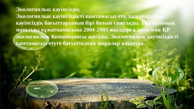 Экологиялық қауіпсіздік Экологиялық қауіпсіздікті қамтамасыз ету, халықаралық қауіпсіздік бағыттарының бірі болып саналады. Бұл саланың маңызды құжатнамасына 2004-2005 жылдарға арналған ҚР экологиялық Концепциясы жатады. Экологиялық қауіпсіздікті қамтамасыз етуге бағытталған шаралар алынуда.  