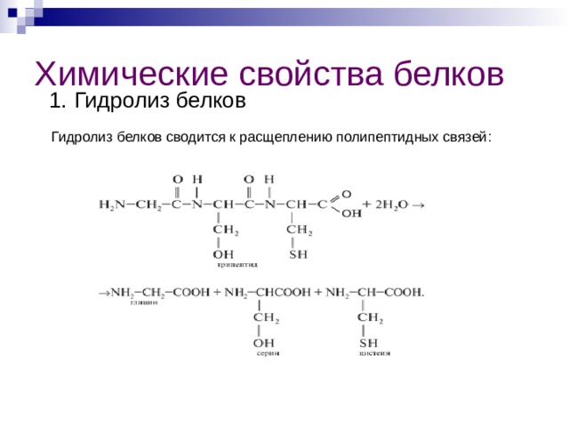 Химические свойства белков  1.  Гидролиз белков  Гидролиз белков сводится к расщеплению полипептидных связей: 
