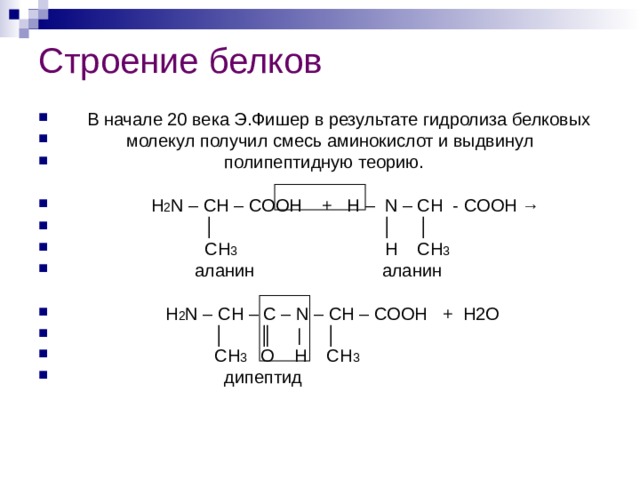 Строение белков    В начале 20 века Э.Фишер в результате гидролиза белковых  молекул получил смесь аминокислот и выдвинул  полипептидную теорию.   H 2 N – CH – CO ОН + Н –  N – CH - COOH →    │  │  │     CH 3   H CH 3      аланин аланин    H 2 N – CH – C – N – CH – COOH + Н2О  │ ║   |   │    CH 3   О   Н CH 3  дипептид 