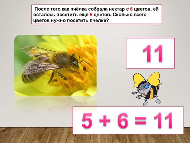  После того как пчёлка собрала нектар с 6 цветов, ей осталось посетить ещё 5 цветов. Сколько всего цветов нужно посетить пчёлке? 